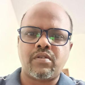Ramesh Babu Perumal image