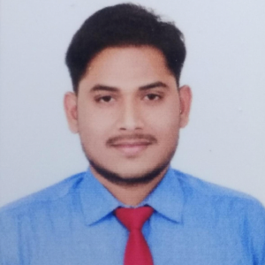 Rohit Dhengale image