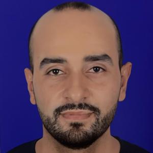 Hesham Shamia image