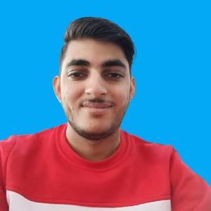 Deepak Vashisht image