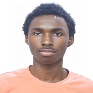 Ahmed Osman image