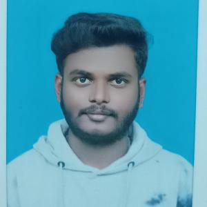 Karthik Sake image