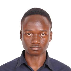 Davies Sengonzi image