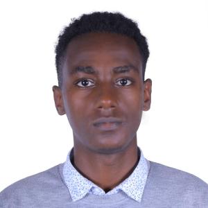 Abnet Wolde image