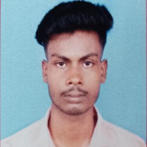 Bipladir Bindhani image
