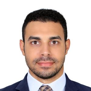Ahmed Sameer image