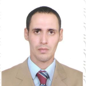 Hany Ahmed image