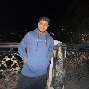 Anshuman Chandel image