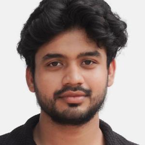 Biplab Pal image