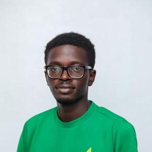 Adedapo Tomi Ogunsowo image