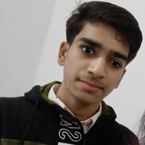 Vikas Gangwar image