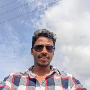 Chaitanya Beeraka image