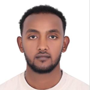 Addisu Achamyeleh Tarekegn image