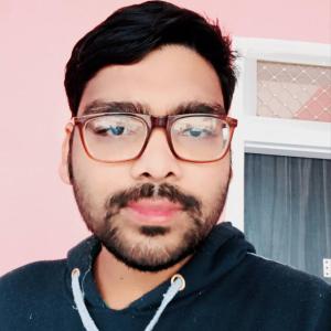 Ajay Singh Tanwar image