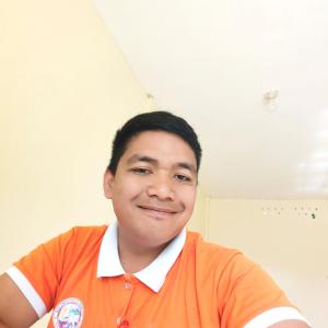 Paul Salaysay image