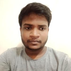 Biswajit Mondal image