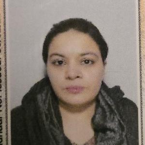 Sara Fahim image