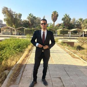 Mahmoud Roushdy Abdelghany Abdelgawad image