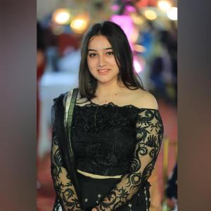 Palkit image