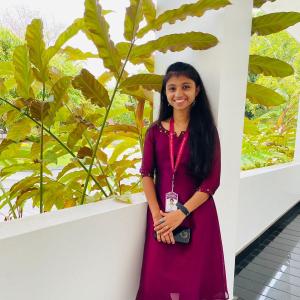 Niya image