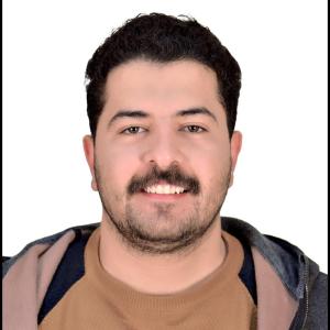 Ahmed Naguib image
