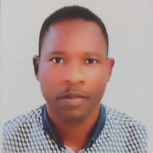 Bala Kawata image