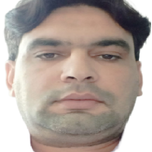 Amir image