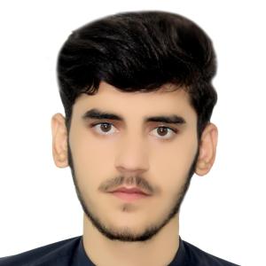 Elham image