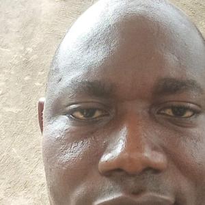 Anthony Ogbeha image