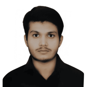 Netram Meena image