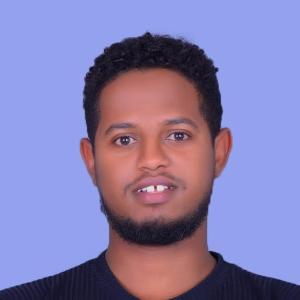 Gemechis Mulisa image