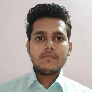 Nagendra Parashar image