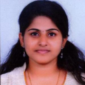 Meera Nandan image