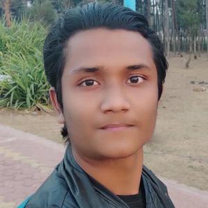 Chittajit Chakraborty image