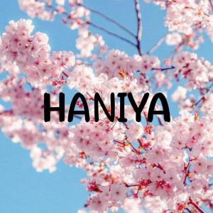Mubashara Haniya image