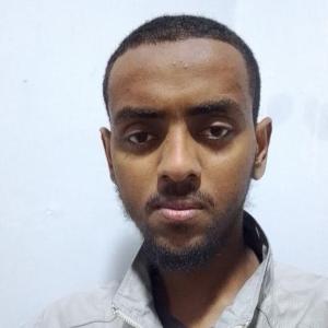 Mubarek Nesro image