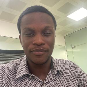 Adebola Adesanya image