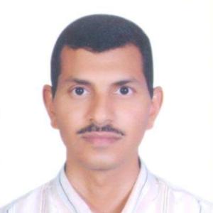 Abdelazeem Anwer image