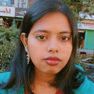 Krittika Kirtania image