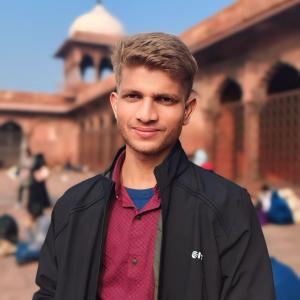 Sumit Kumar image