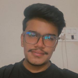 Abhishek Patidar image
