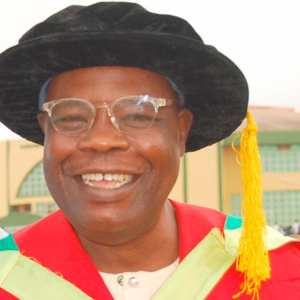 Fatoba Kolawole image