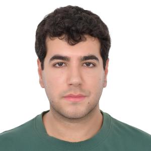 Christian Serhan image
