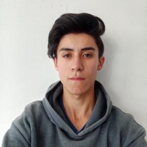Santiago Orozco Pena image