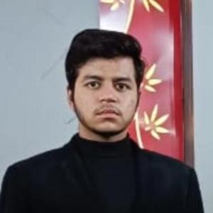 Vinay Sharma image