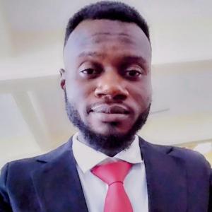 Chukwuneme I. Okoye image