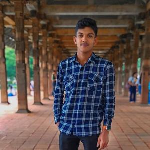 Nethmina Hansanath image