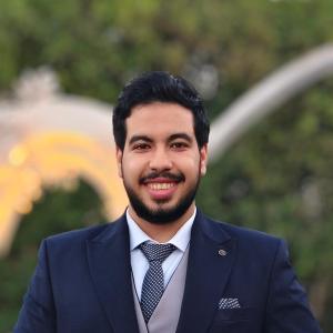 Hossam Walid image
