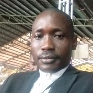 Adesola Bankole image