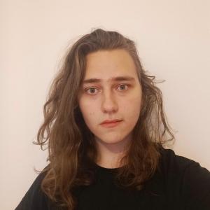 Valiullin Demid image
